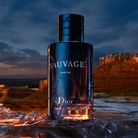 dior sauvage price 100ml|dior sauvage 100ml price uk.